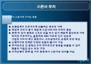 스포츠마케팅,마케팅,브랜드,브랜드마케팅,기업,서비스마케팅,글로벌,경영,시장,사례,swot,stp,4p 22페이지