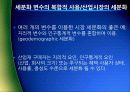 고객지향적마케팅,고객마케팅,서비스경영,마케팅,브랜드,브랜드마케팅,기업,서비스마케팅,글로벌,경영,시장,사례,swot,stp,4p 10페이지