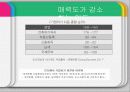 인도시장,인도문화,마케팅,브랜드,브랜드마케팅,기업,서비스마케팅,글로벌,경영,시장,사례,swot,stp,4p 24페이지