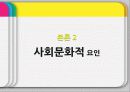 인도시장,인도문화,마케팅,브랜드,브랜드마케팅,기업,서비스마케팅,글로벌,경영,시장,사례,swot,stp,4p 25페이지