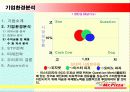 Mr. Pizza(미스터피자) Case Study 14페이지