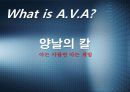 A.V.A(아바) 인지도 상승을 위한 마케팅 커뮤니케이션 전략 14페이지