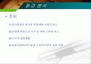 마케팅,브랜드,브랜드마케팅,기업,서비스마케팅,글로벌,경영,시장,사례,swot,stp,4p, 22페이지