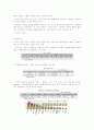 “별이 다섯개” -장수 돌침대&전기장판 폴란드 진출 마케팅방안 17페이지