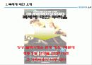 생명공학,생명윤리,복제인간,생명과학,줄기세포,황우석박사,복제양 18페이지