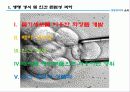 생명공학,생명윤리,복제인간,생명과학,줄기세포,황우석박사,복제양 21페이지