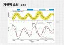 온난화,지구온난화,마케팅,브랜드,브랜드마케팅,기업,서비스마케팅,글로벌,경영,시장,사례,swot,stp,4p 21페이지