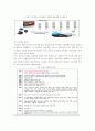 LVMH,성공전략,사례분석,마케팅,브랜드,브랜드마케팅,기업,서비스마케팅,글로벌,경영,시장,사례,swot,stp,4p 5페이지