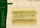 스타벅스마케팅,스타벅스경영,마케팅,브랜드,브랜드마케팅,기업,서비스마케팅,글로벌,경영,시장,사례,swot,stp,4p PPT자료 32페이지