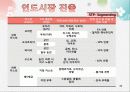 농심의 해외진출 전략 30페이지