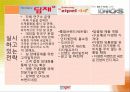 위니아만도 딤채 마케팅 28페이지