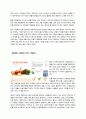 [서비스 마케팅] 총각네 야채가게 20페이지