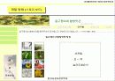 [컴퓨터정보관리학과] 걸구쟁이네 쌀 방앗간 12페이지