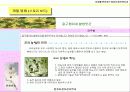 [컴퓨터정보관리학과] 걸구쟁이네 쌀 방앗간 15페이지