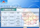 [마케팅원론] 롯데월드 18페이지