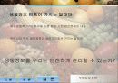 생물정보편중에 따른 사회 윤리적 문제 17페이지