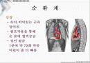 응급일반 29페이지