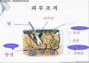 응급일반 38페이지