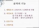 응급일반 56페이지