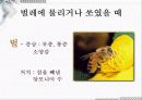 응급일반 65페이지
