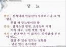 응급일반 80페이지