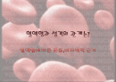 혈액형과 성격의 관계는? 혈액형에 따른 분류,비과학적 근거 1페이지