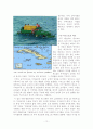 CUban Diaspora(쿠바 디아스포라) 역사와 규모, 특징, 이주요인, 해외이주정책, 언어, 주민, 용어 경제적 효과, 경영, 마케팅 조사분석 10페이지