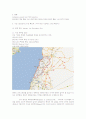 Lebanese Diaspora(레바논 디아스포라) 역사와 규모, 특징, 이주요인, 해외이주정책, 경제적 효과, 경영, 마케팅 조사분석 4페이지