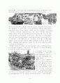 베트남 보트피플(Vietnamese Boat People) 역사와 규모, 특징, 이주요인, 해외이주정책, 언어, 주민, 용어 경제적 효과, 경영, 마케팅 조사분석 4페이지