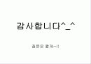 특수직연금제도의 내용과 문제점 13페이지