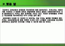 고용보험의 문제점과 개선방안 21페이지