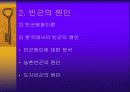 빈곤과 소득보장 5페이지