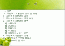 [사회복지] 국민복지기본선의 이해 2페이지