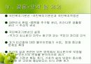 [사회복지] 국민복지기본선의 이해 9페이지