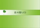 사회보장론, 산재보험제도의 문제점과 개선방안 17페이지