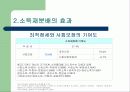 사회보장의 소득재분배효과 14페이지