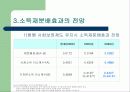 사회보장의 소득재분배효과 15페이지