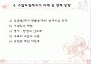 외국(일본&독일)의 요양보험제도  24페이지