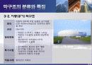 막구조 PPT 10페이지