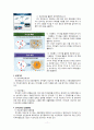 성폭력범죄 11페이지