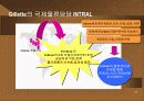 글로벌 뮬류 23페이지