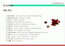 다기능 인공 경량골재 제조를 위한 사업계획서 - G.B.G.M Global Bio Gravel Co.,Ltd 13페이지