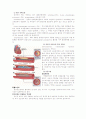 [성인간호학] 심맥관계 중환자실 case (Acute Myocardial Infarction) 3페이지
