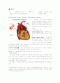 [성인간호학] 심맥관계 중환자실 case (Acute Myocardial Infarction) 12페이지