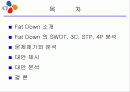 마케팅 사례 연구 - CJ 팻다운(Fat Down) 2페이지