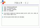 마케팅 사례 연구 - CJ 팻다운(Fat Down) 3페이지