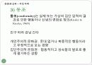 문화와심리,부정부패,연고주의,온정주의,부정,부패사회,사회문제 12페이지