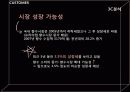 브랜드마케팅사례,마케팅사례,마케팅,브랜드,브랜드마케팅,기업,서비스마케팅,글로벌,경영,시장,사례,swot,stp,4p 13페이지
