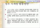 그린 마케팅 13페이지
