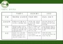 감성마케팅 뚜레쥬르(뚜레주르/Tous Les Jours) 4페이지